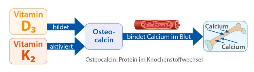 D3K2 Osteocalcin Calcium 211028