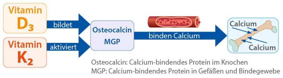 D3K2 Osteocalcin Calcium 211103